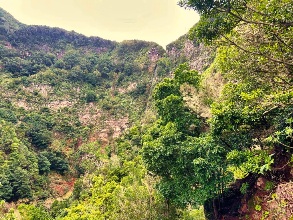 szlaki trekkingowe La Gomera