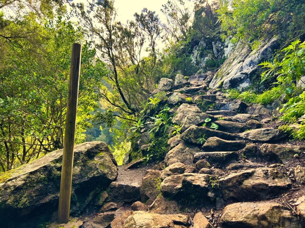 szlaki trekkingowe La Gomera