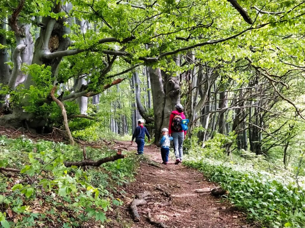 Bieszczady atrakcje dla dzieci