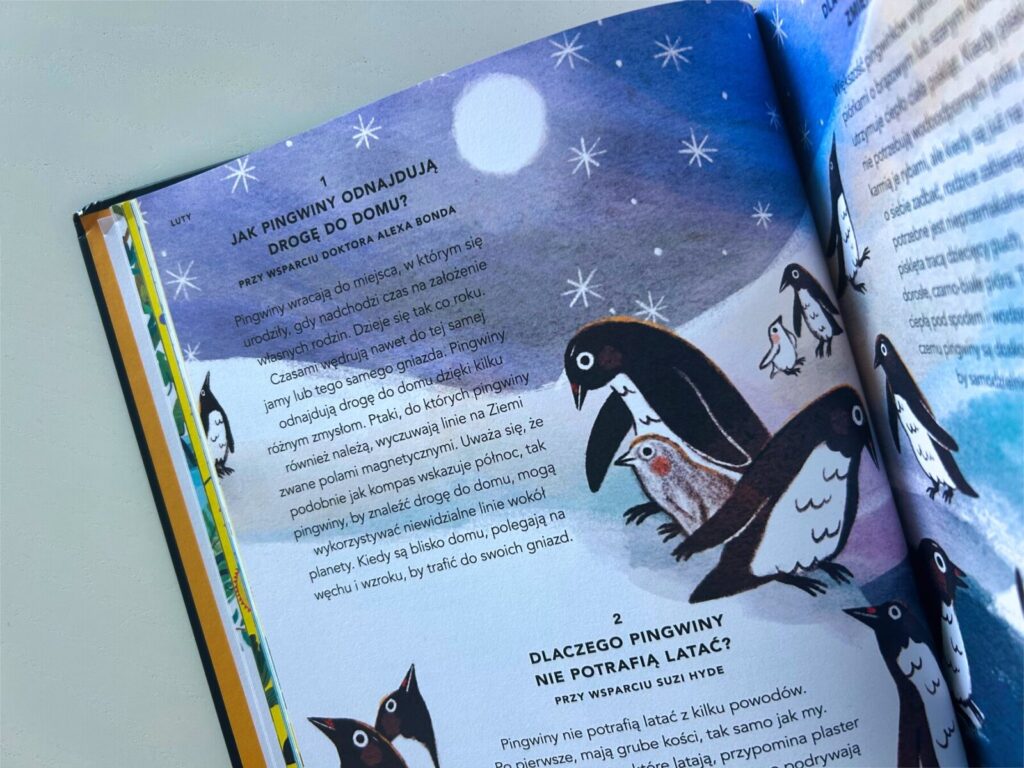 wszystko co chcesz wiedziec ksiazka (3)