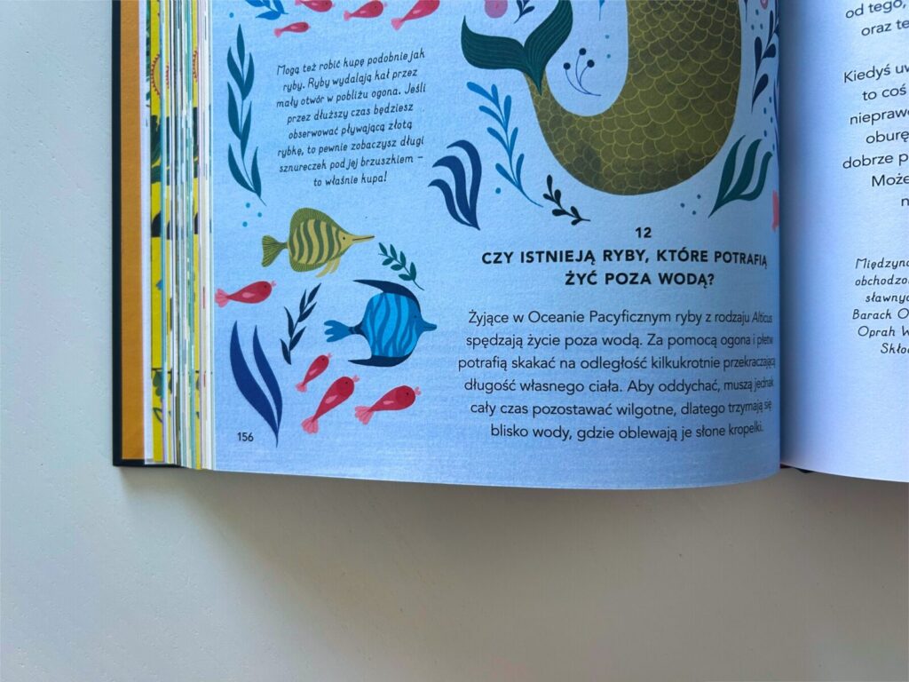 wszystko co chcesz wiedziec ksiazka (8)