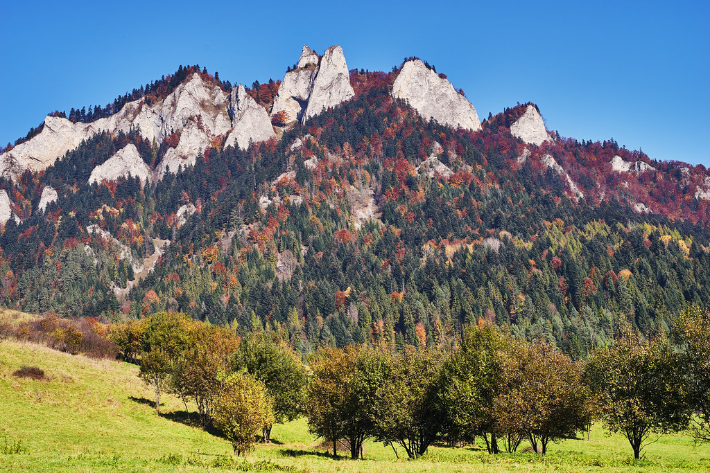 Szczawnica atrakcje dla dzieci