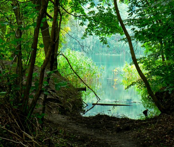 pomorze zachodnie z dziećmi