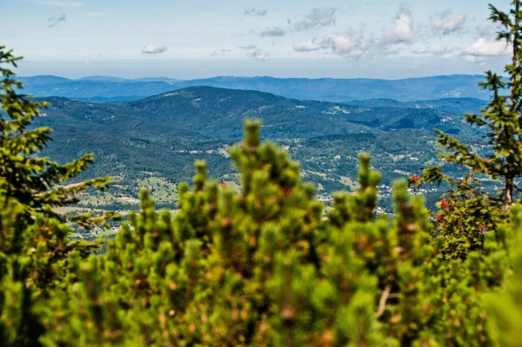 gdzie z dziećmi na wakacje w Polsce