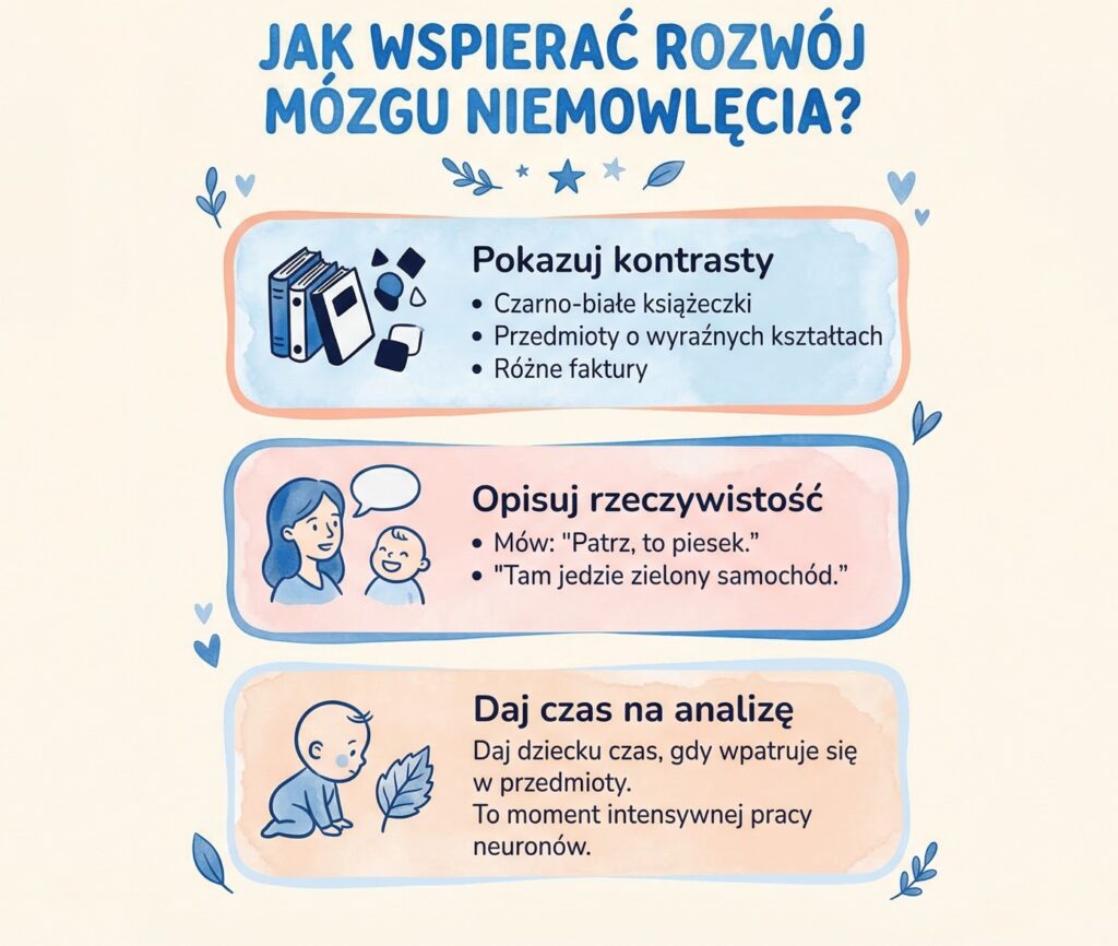 jak wspierac rozwoj mozgu dziecka