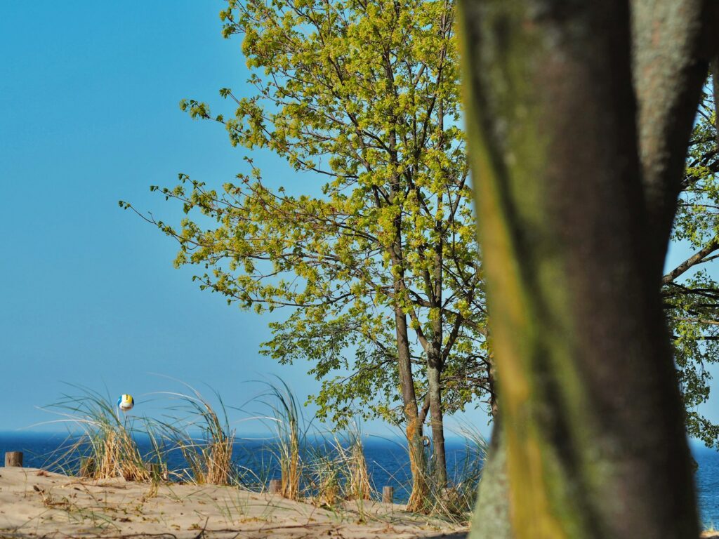 trójmiasto z dziećmi