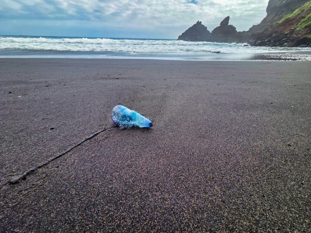 Atrakcje La Palma (108)