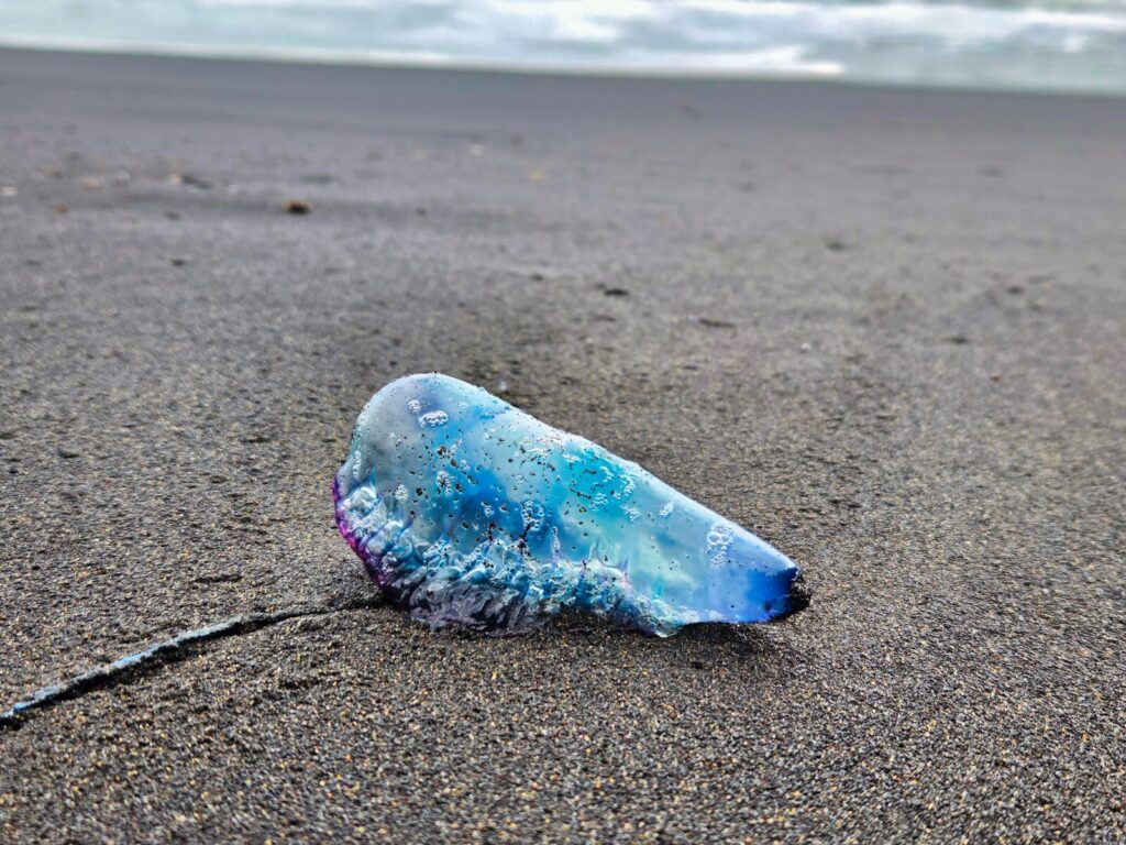 Atrakcje La Palma (109)