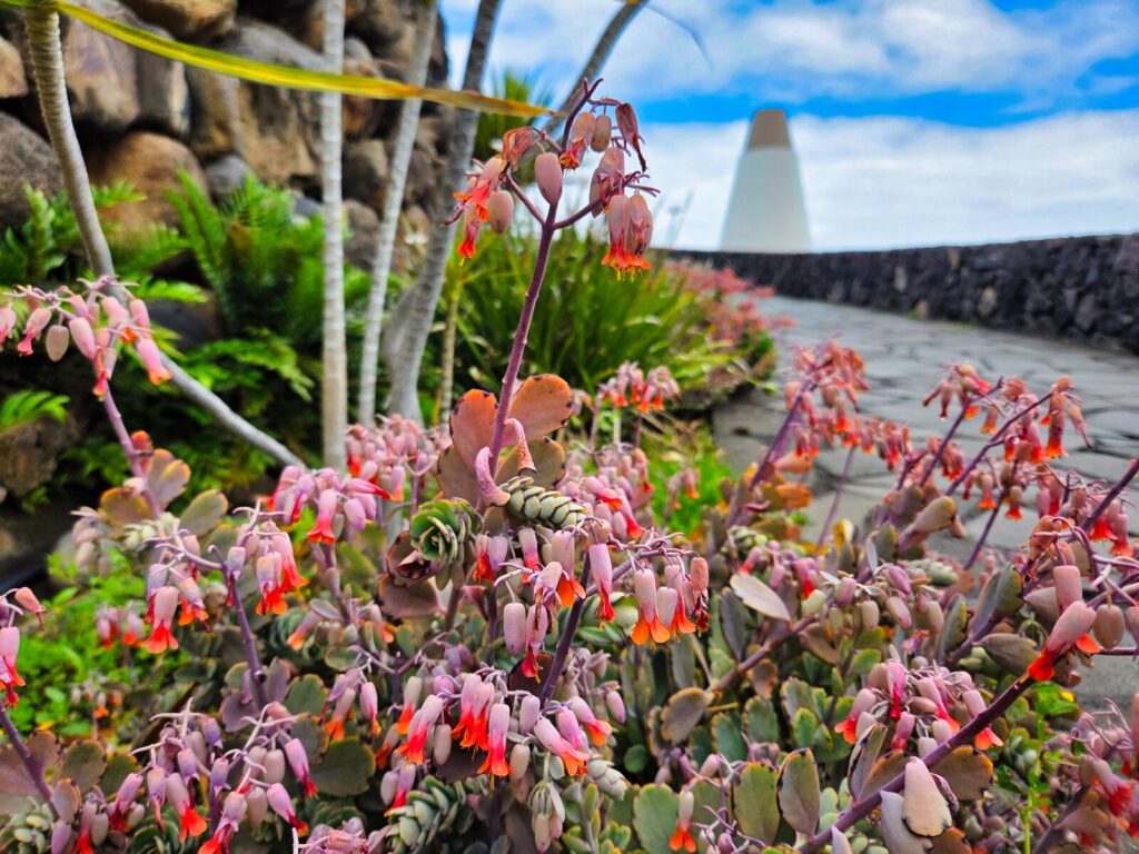 Atrakcje La Palma (113)