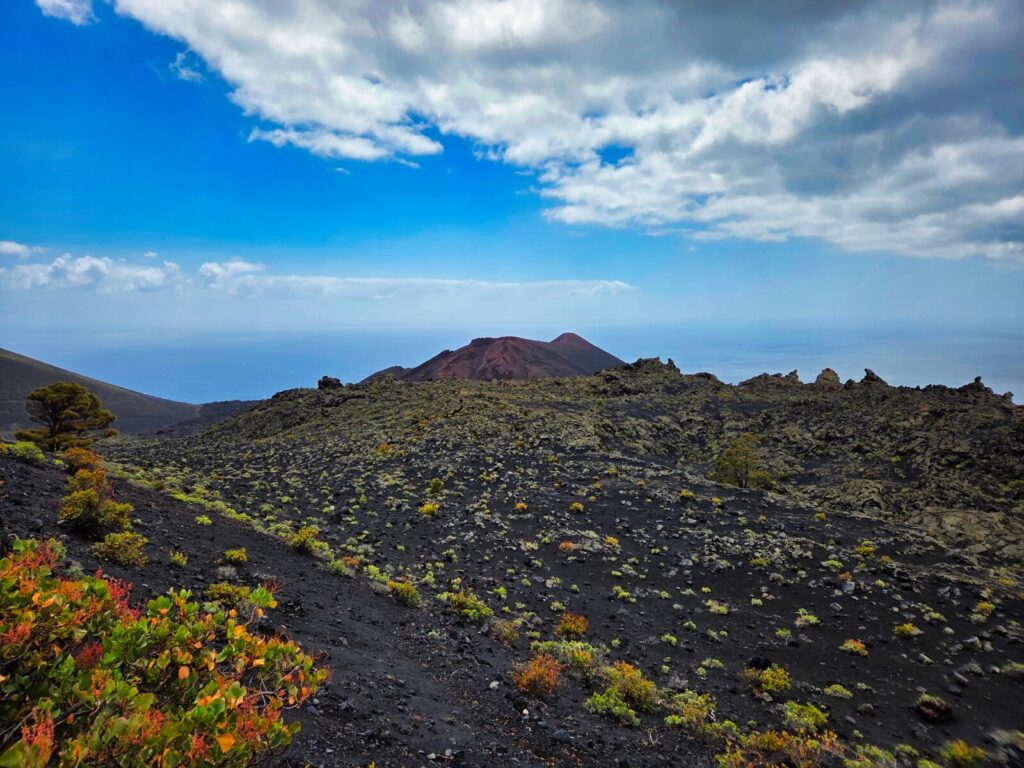 Atrakcje La Palma (76)