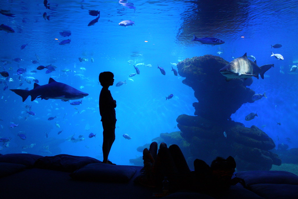 palma de mallorca z dziećmi