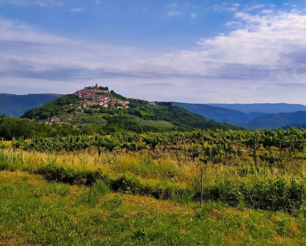 Rovinji z dziećmi