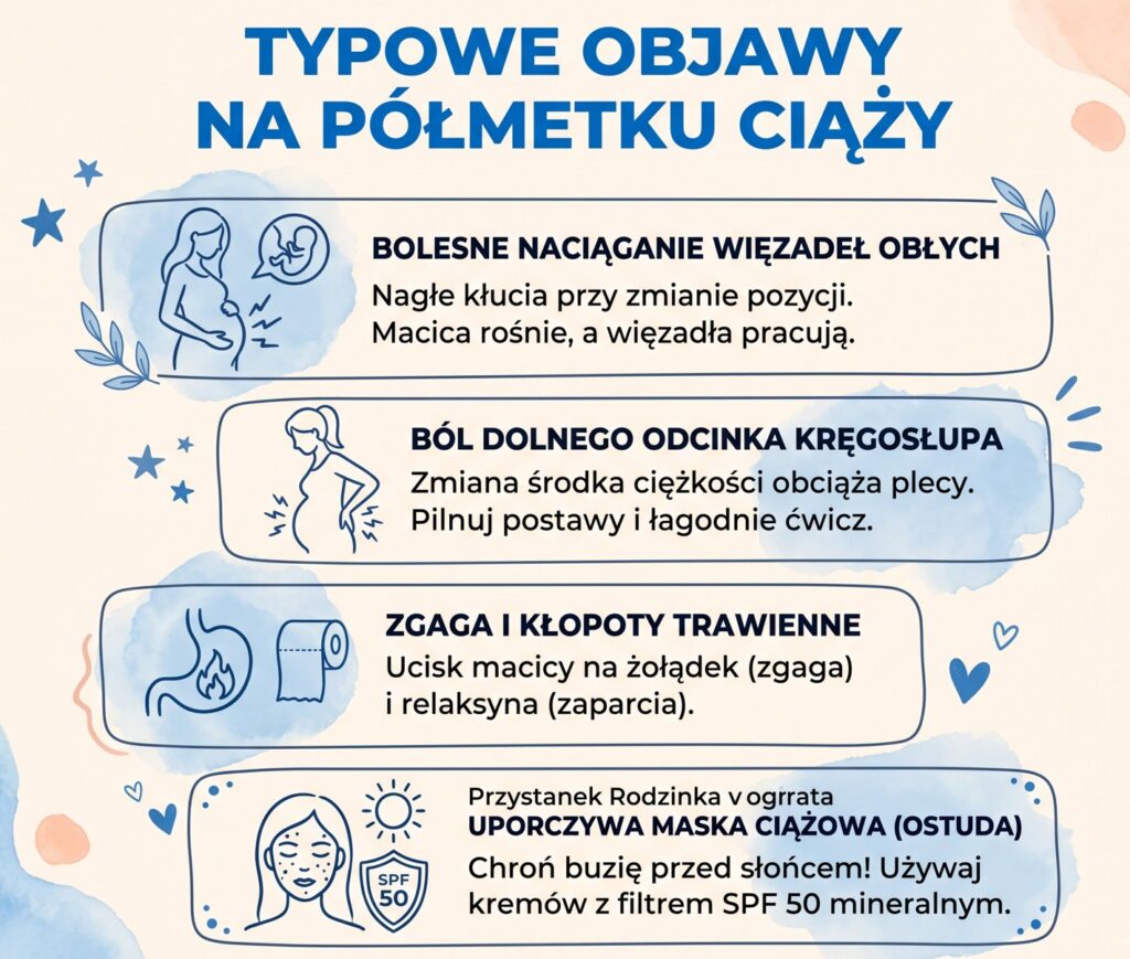 obajwy ciazy półmetek