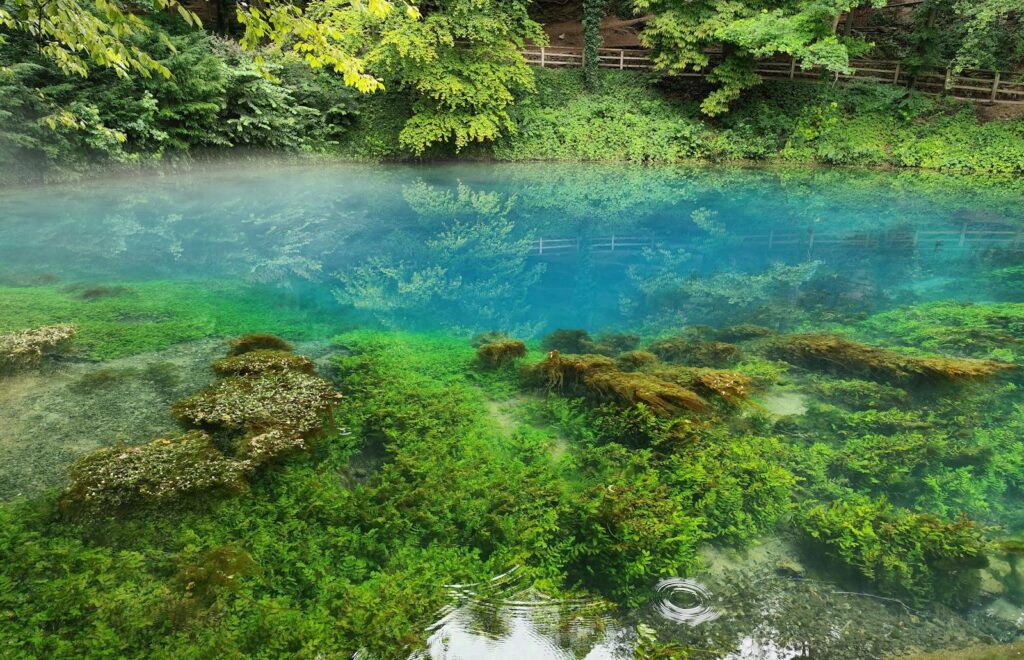 Vibrant aquatic landscape at Blaubeuren, Germany, showcasing crystal clear waters and lush greenery.