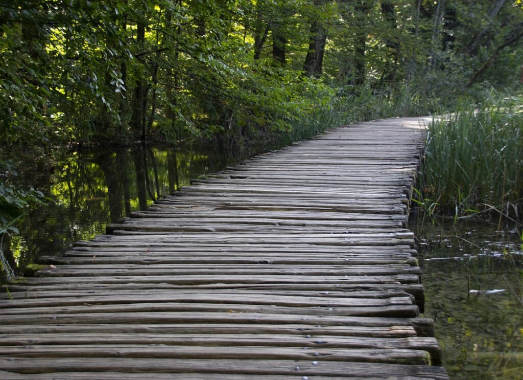 plitvice lakes, bridge, national park, green, wood, green wood, green bridge, plitvice lakes, plitvice lakes, plitvice lakes, plitvice lakes, plitvice lakes