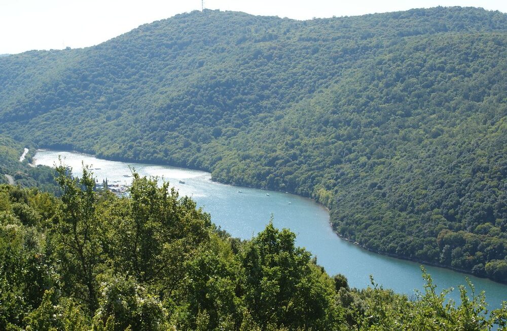 Rovinji z dziećmi