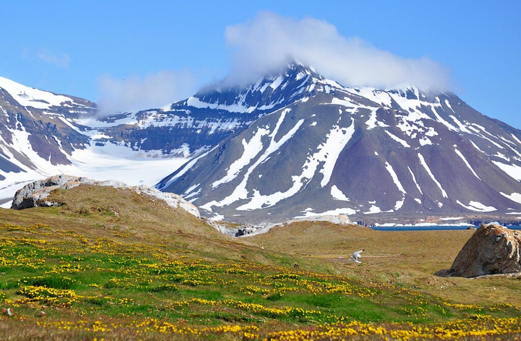 co warto wiedzieć przed wyjazdem na Svalbard