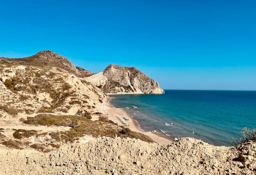 kos z dziećmi