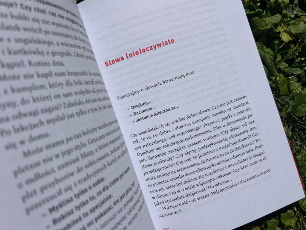 nie trzaskaj drzwiami (2)