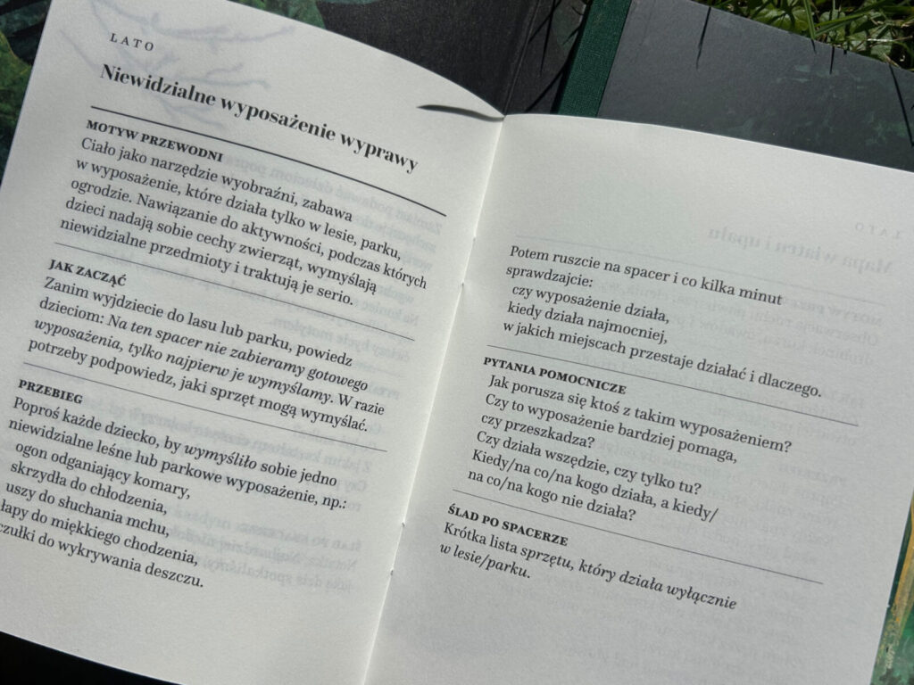 królestwo patyków (3)